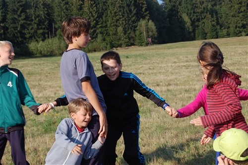 Obrázek v galerii